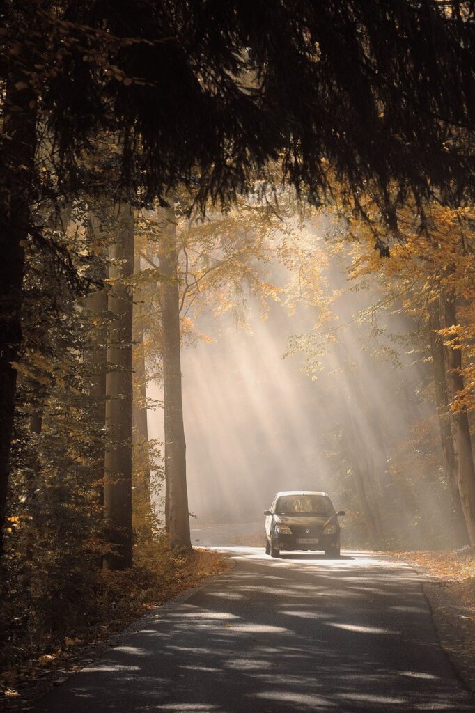 road, forest, sunbeams-6790127.jpg