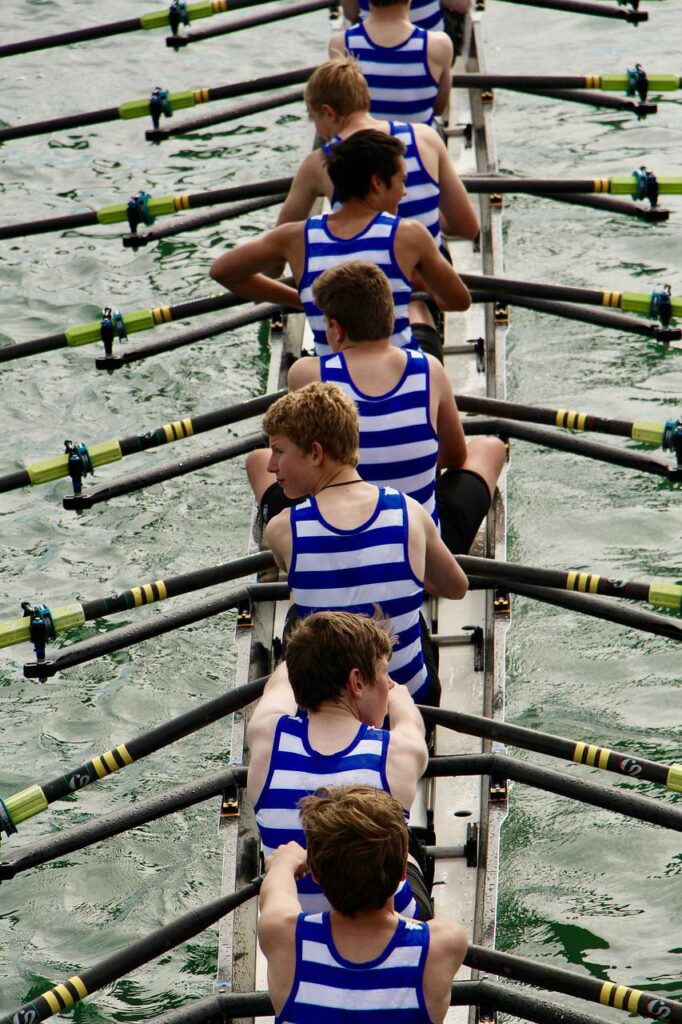 row, rowing, rowers-4476112.jpg